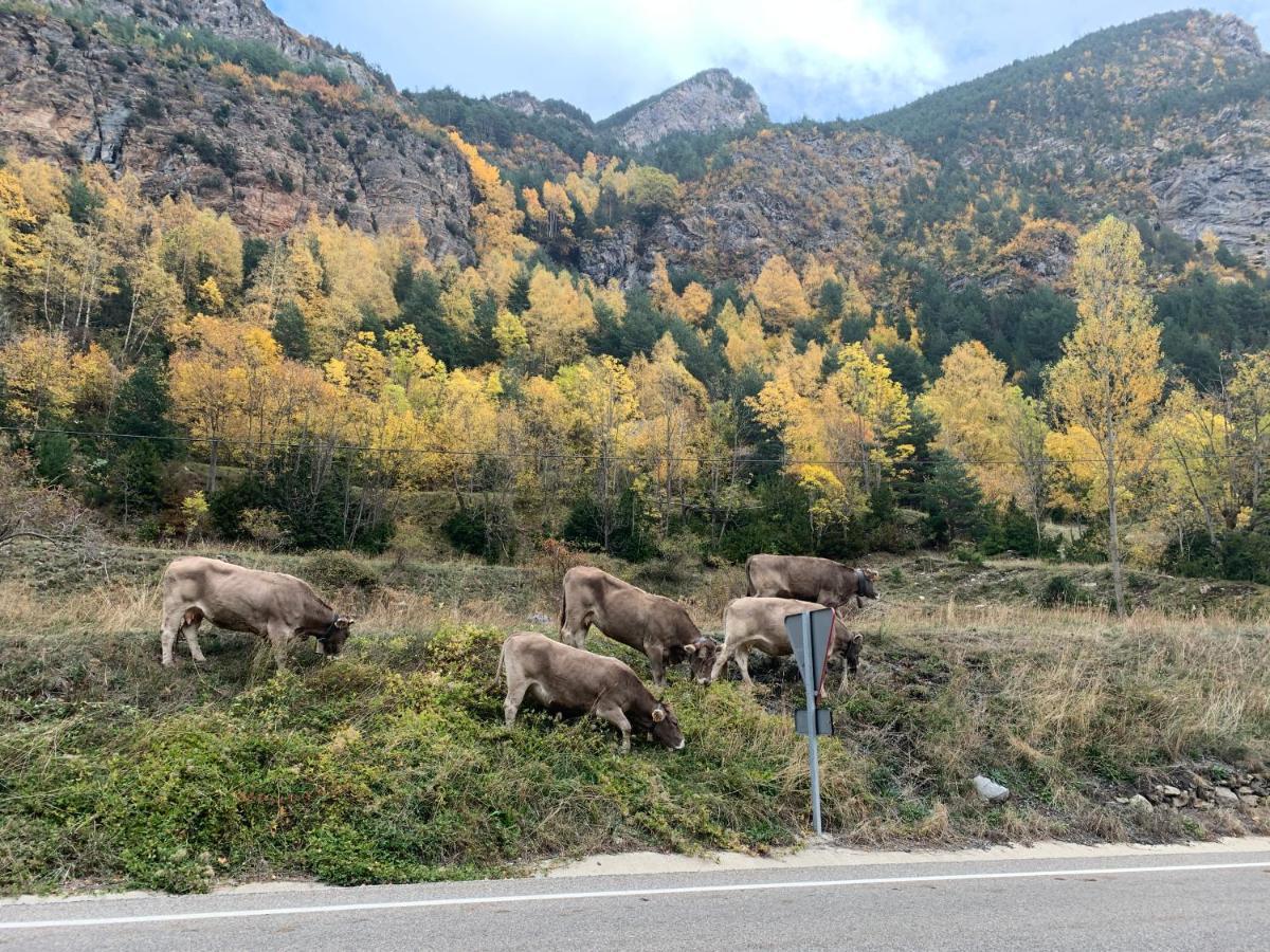 Chalet En El Pirineo De Aragon Neril Kültér fotó